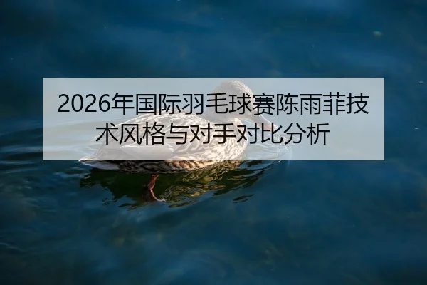 2026年国际羽毛球赛陈雨菲技术风格与对手对比分析