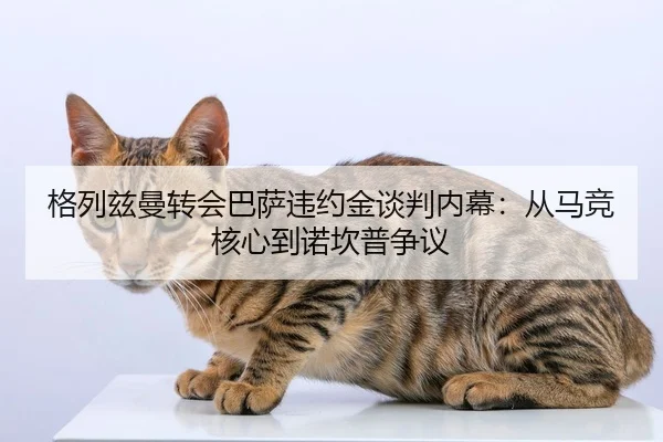 ge-lie-zi-man-zhuan-hui-ba-sa-wei-yue-jin-tan-pan-nei-mu-cong-ma-jing-he-xin-dao-nuo-kan-pu-zheng-yi-2-489.jpg